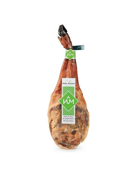 Paleta 50% Ibérica de Cebo de Campo