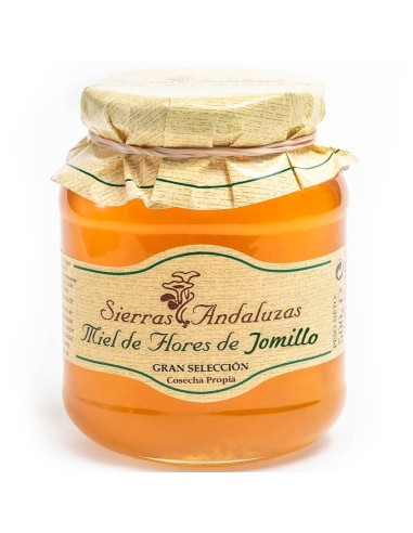 Miel de thym