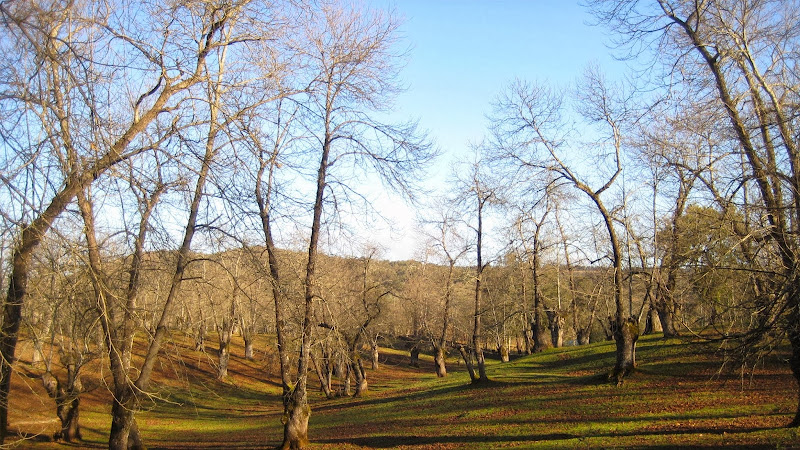 Sierra de Aracena, donde nacen nuestros productos